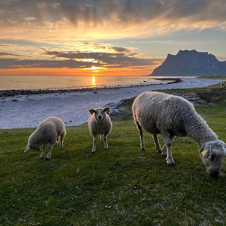 Fisherman'S Cabin, Lofoten - 24 Bardbua 巴尔斯塔 外观 照片