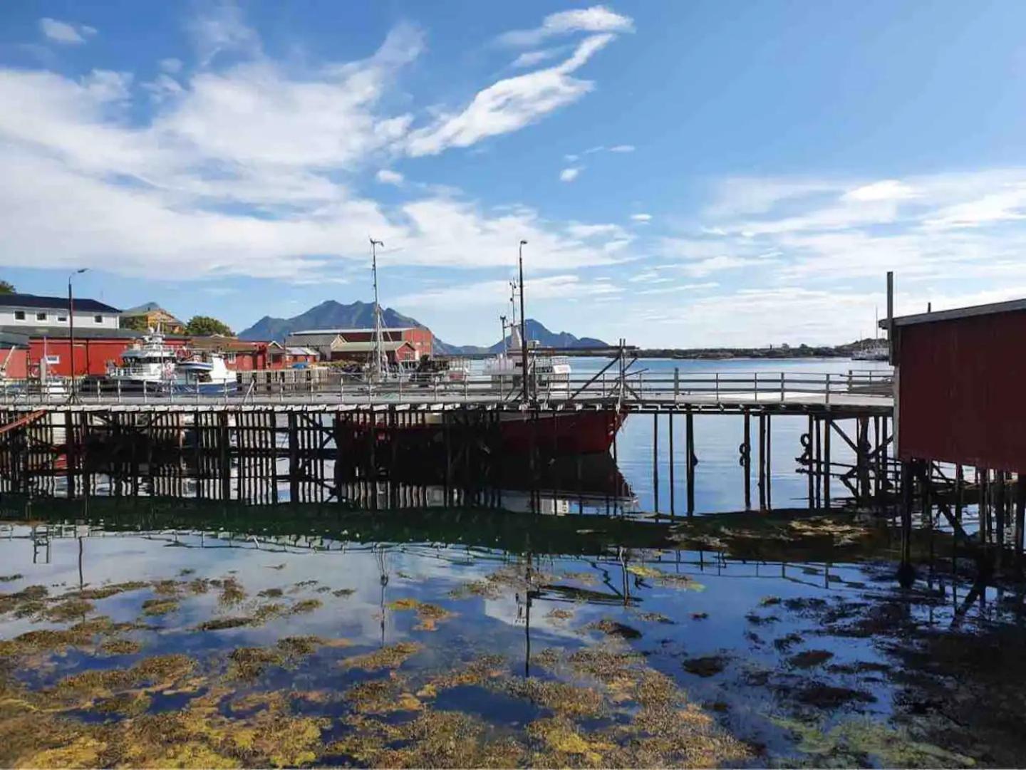 Fisherman'S Cabin, Lofoten - 24 Bardbua 巴尔斯塔 外观 照片